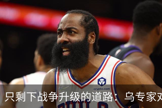 只剩下战争升级的道路：乌专家对冬季局势作出的预测